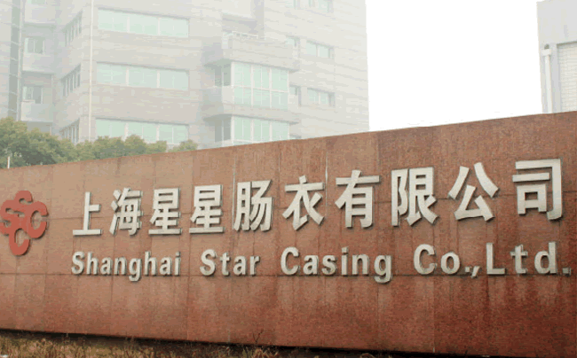 Shanghai Xingxing Gut Co., Ltd